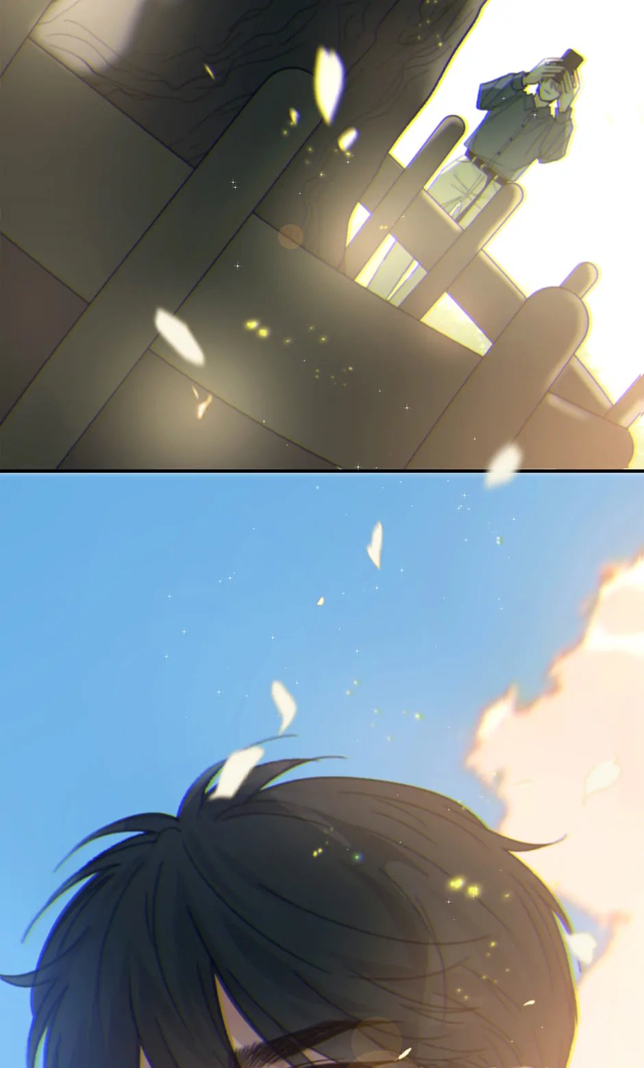 74663279 940 1558 44934